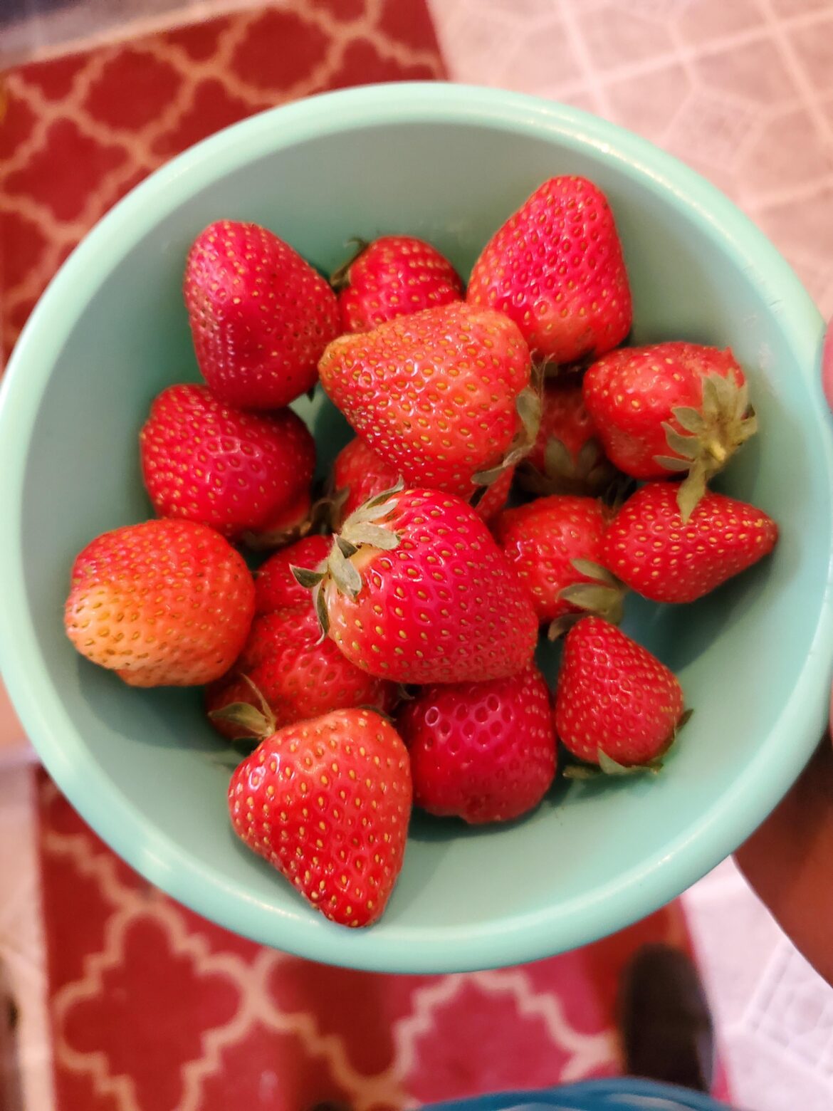 First batch of strawberries grown in garden