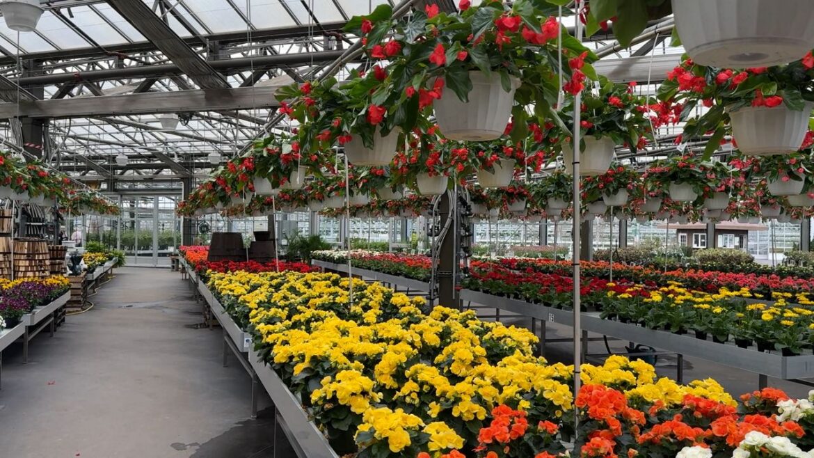 Prepping your lawn and garden for the season Prepping your lawn and garden for the season