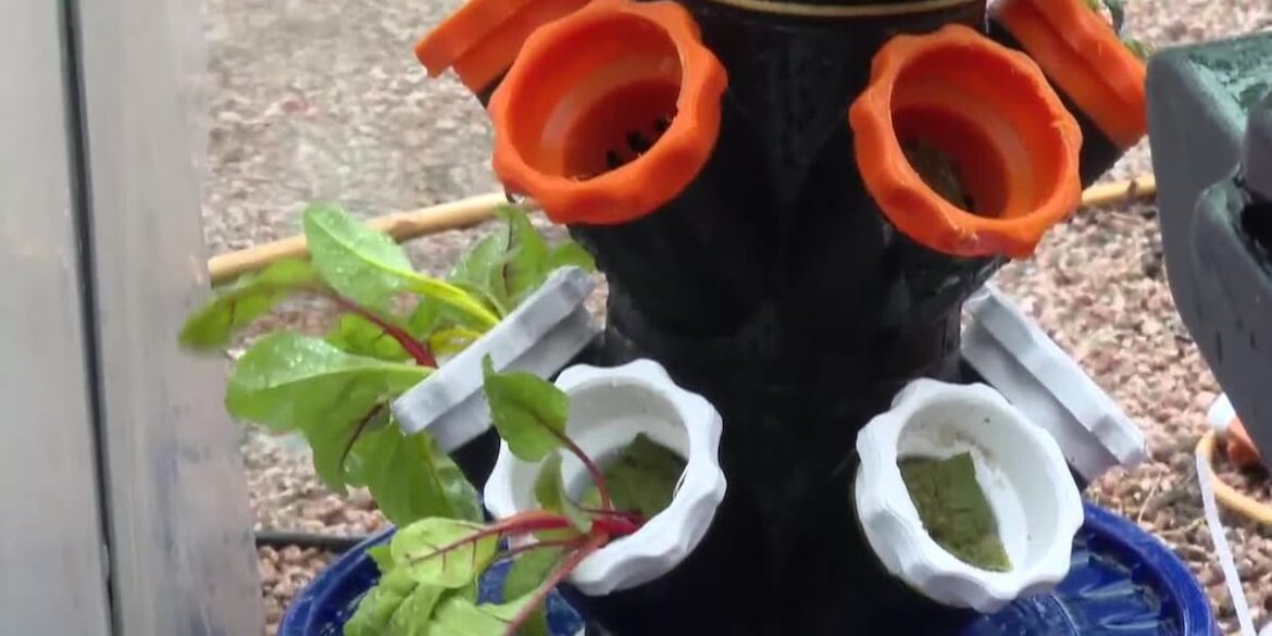 Laredo garden introduces soil-free planting system with 3D-printed towers Laredo garden introduces soil-free planting system with 3D-printed towers
