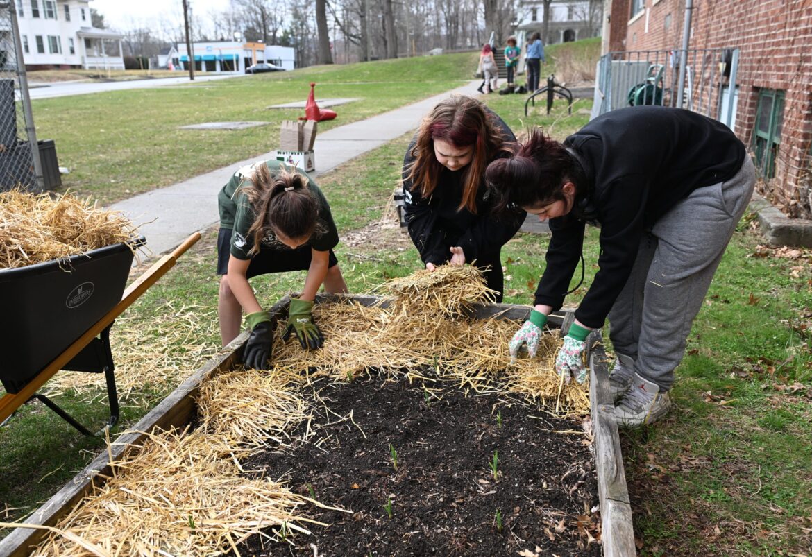 'A nourishing opportunity': Middle schoolers dig into gardening, harvest life lessons