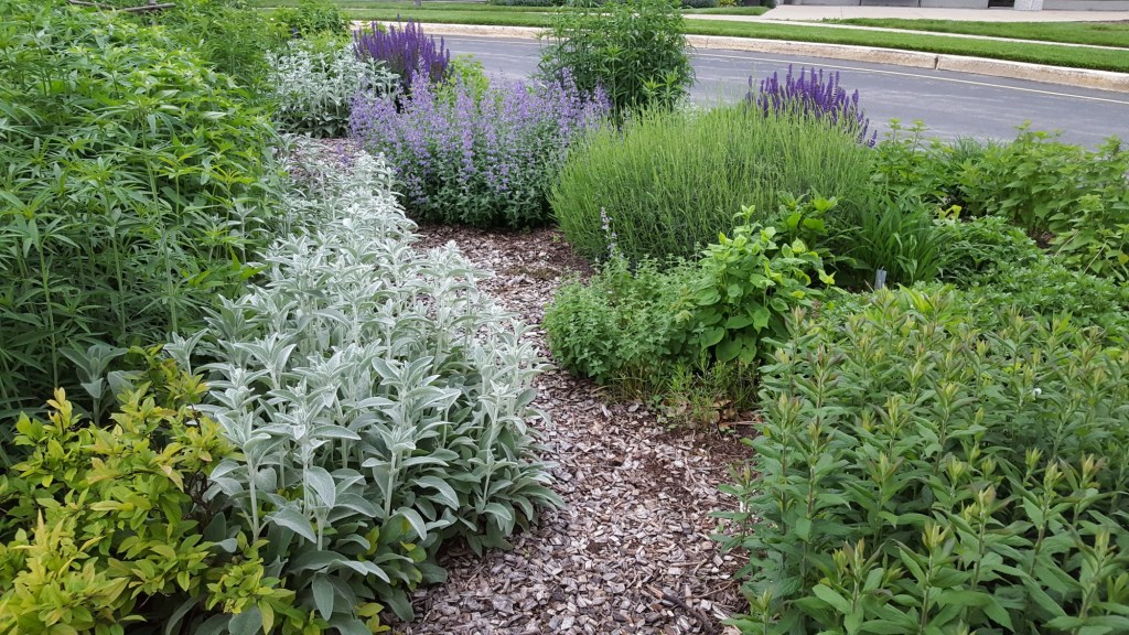 Penn State Extension Center gardening classes held Cressona Agway – Pottsville Republican Herald Penn State Extension Center gardening classes held Cressona Agway – Pottsville Republican Herald