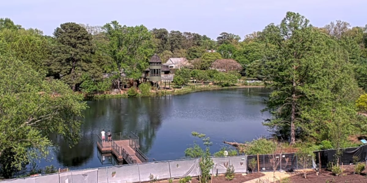 Live view from Lewis Ginter Botanical Garden