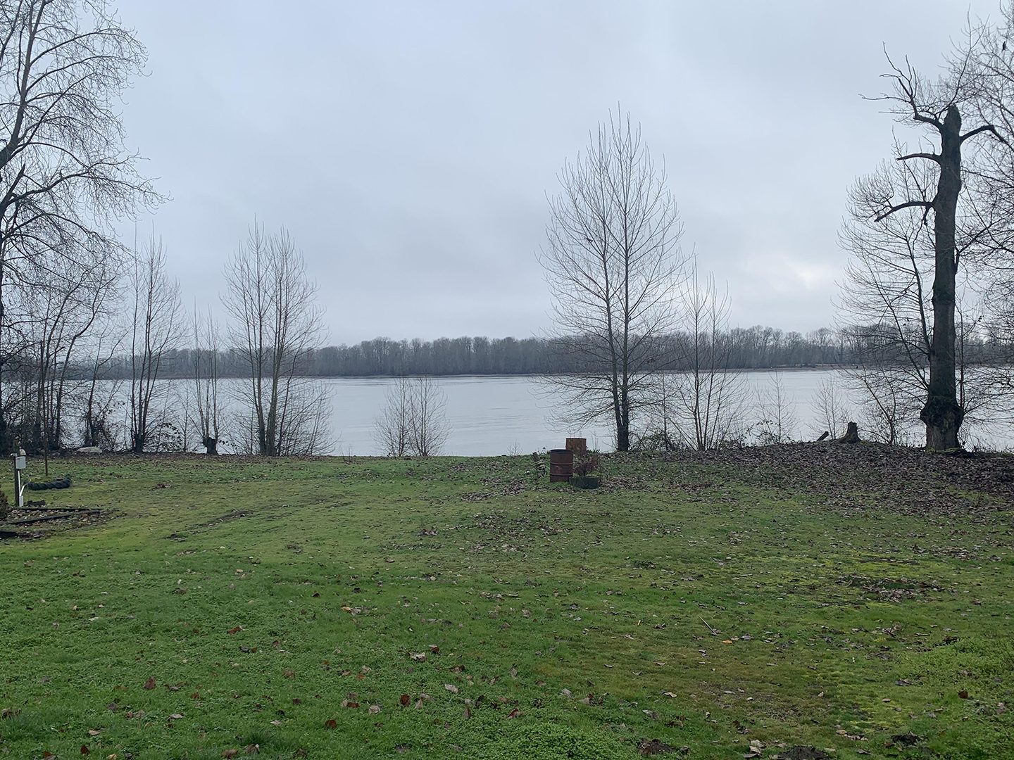 Patchy grass lawn on an overcast day