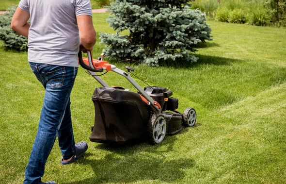 Gardener mowing the lawn. Landscape design. Gardening Gardener mowing the lawn. Landscape design. Gardening