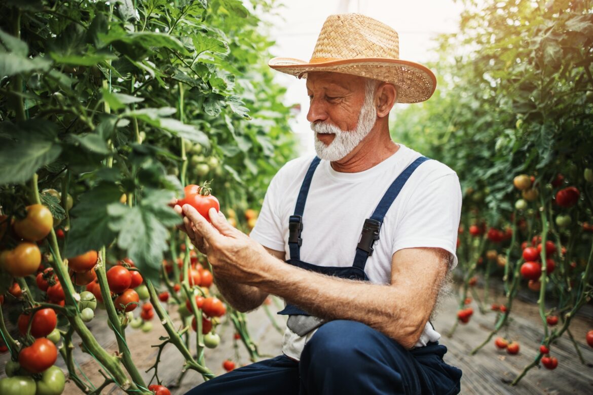 Gardening linked to better brain health and fewer memory problems Gardening linked to better brain health and fewer memory problems