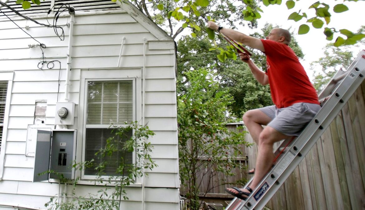Top 10 Gardening Mistakes Older Adults Must Avoid