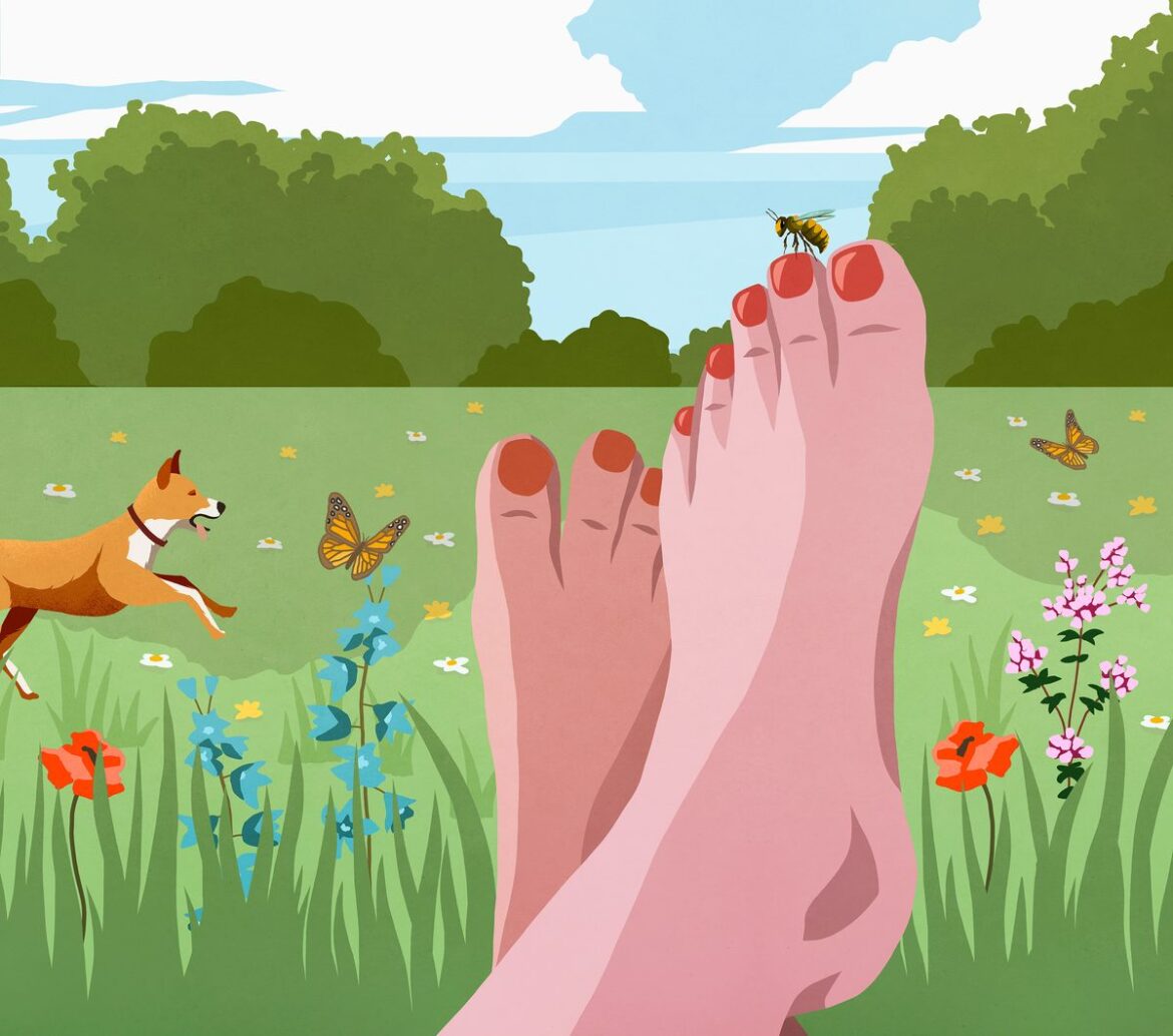 How to make the best, ultimate lawn for wildlife Footer banner