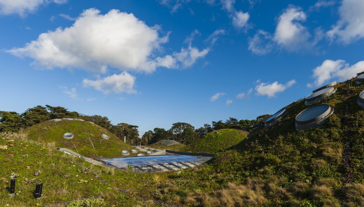 The huge, untapped potential of planting rooftop gardens in cities The huge, untapped potential of planting rooftop gardens in cities