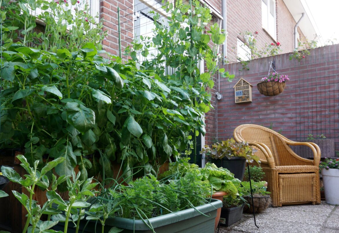 Urban Gardening Ideas to Get Growing in Philly Urban Gardening Ideas to Get Growing in Philly