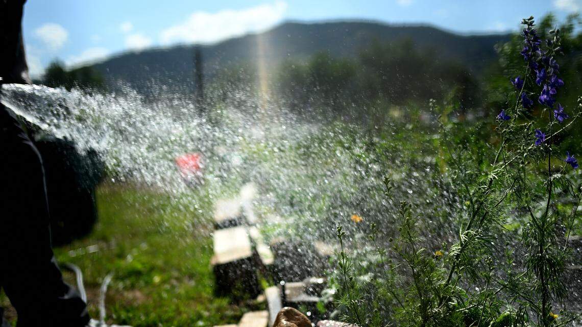 New gardeners: avoid overwatering, wrong soil and crowding. Learn easy fixes like moisture meters, proper watering at roots and correct potting mix. watering garden.