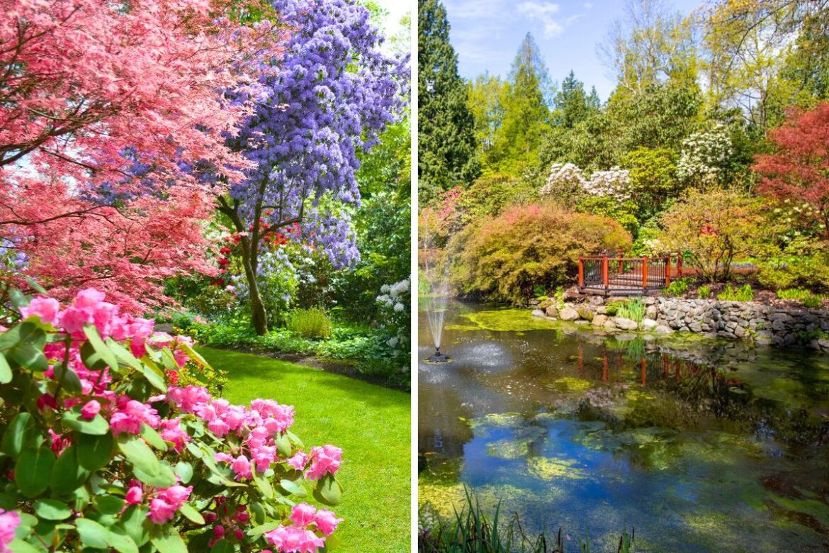 The Magical Glades Woodland Garden Is Opening This Spring glades woodland garden