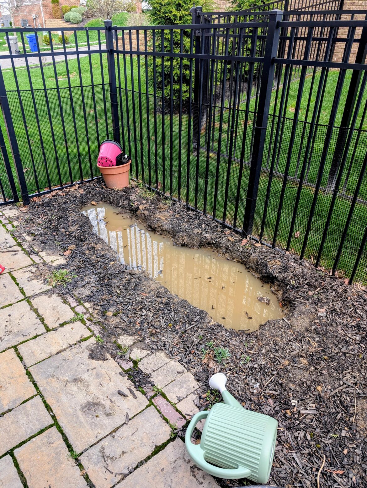 Ground is all clay - help!