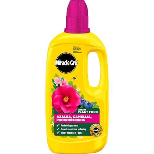 Miracle-Gro 121180 Azelia, Camellia &amp; Rhododendron Concentrated Plant Food, 800 Ml, Natural