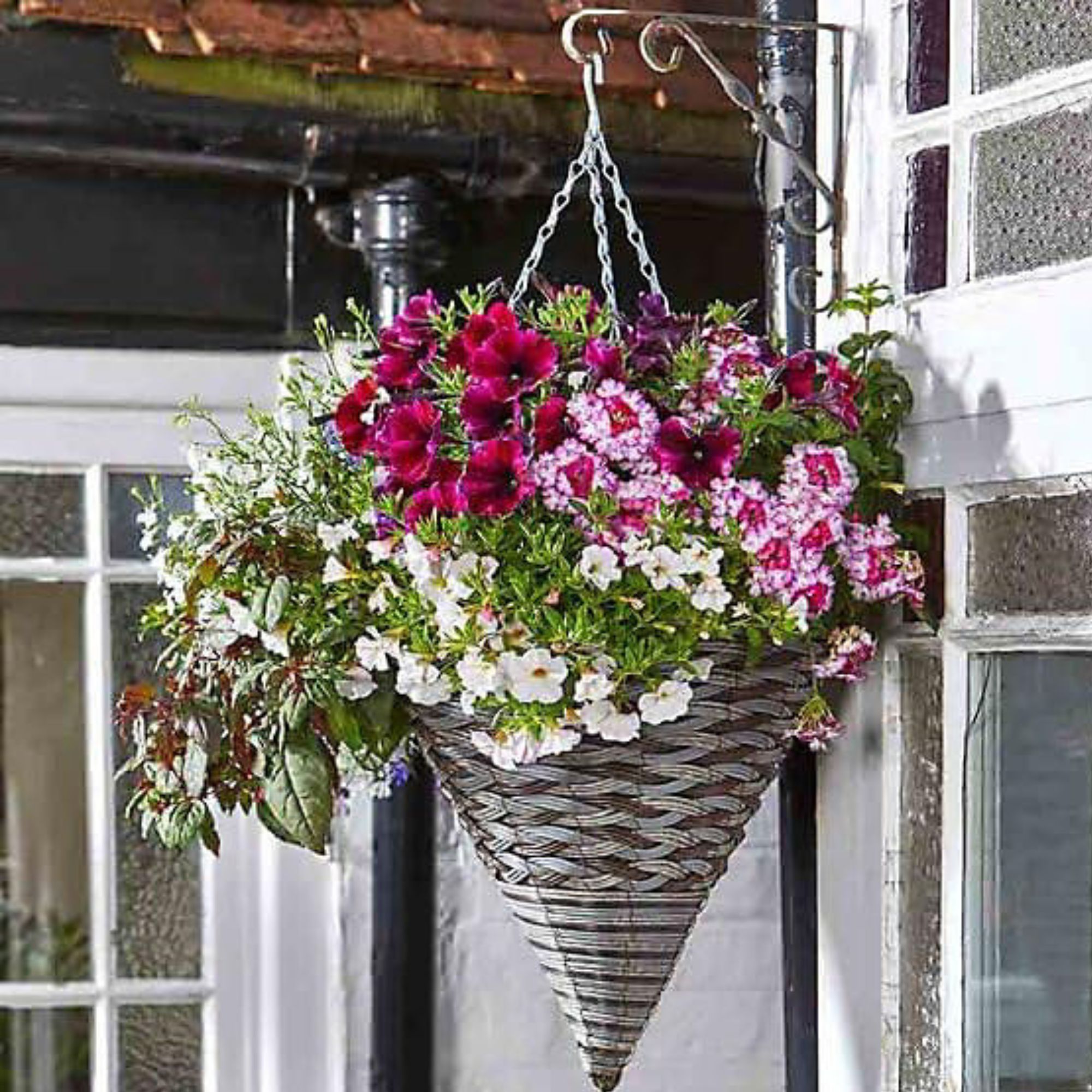 B&amp;Q hanging basket