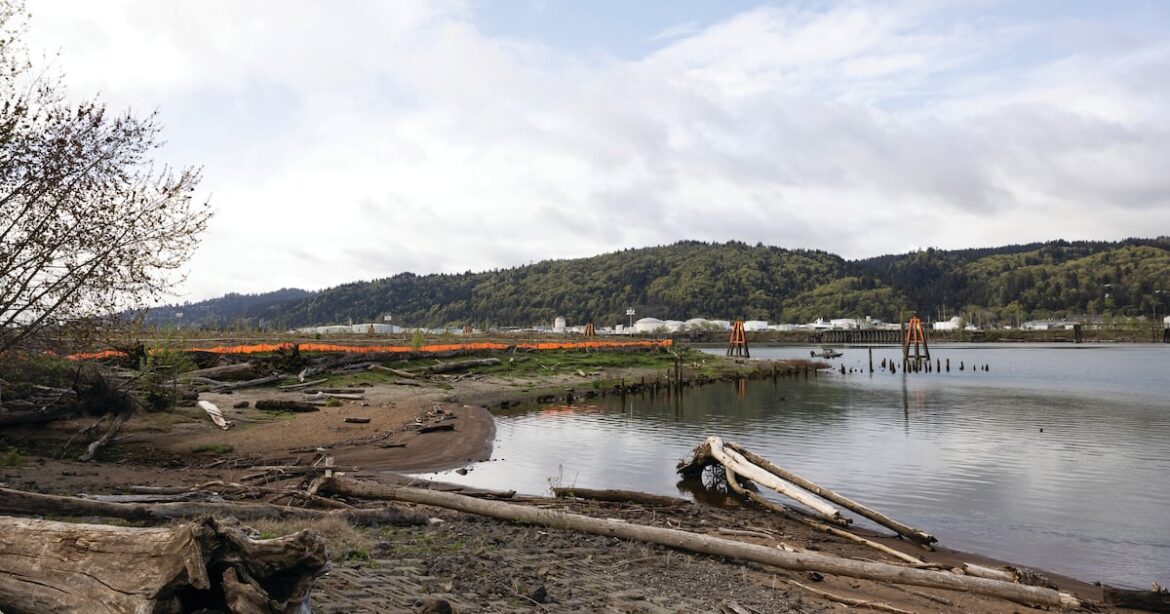 Portland Botanical Gardens Could Grow From Once-Poisoned Land Portland Botanical Gardens Could Grow From Once-Poisoned Land