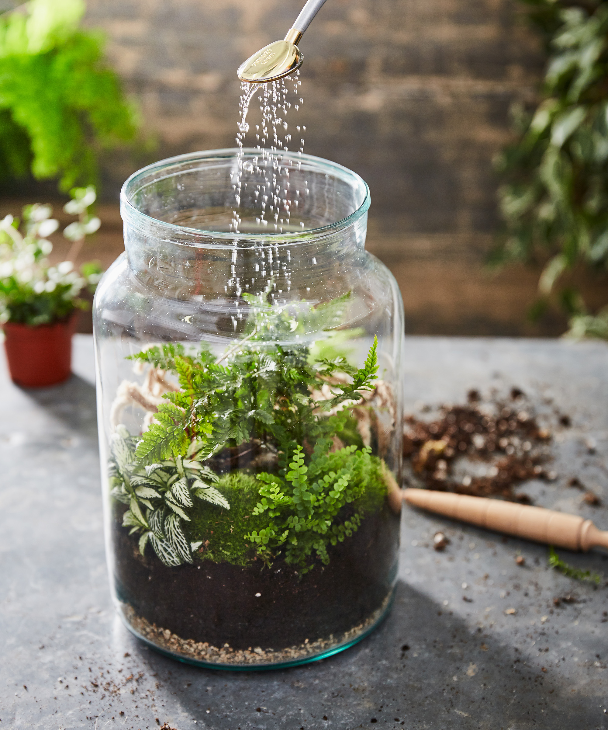 Person watering a terrarium