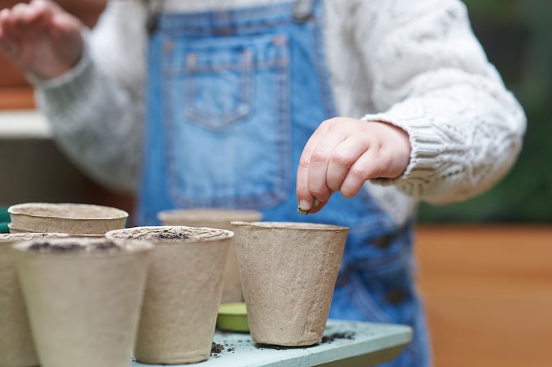 Give pots a warm, bright spot to encourage good germination rates and healthy growth