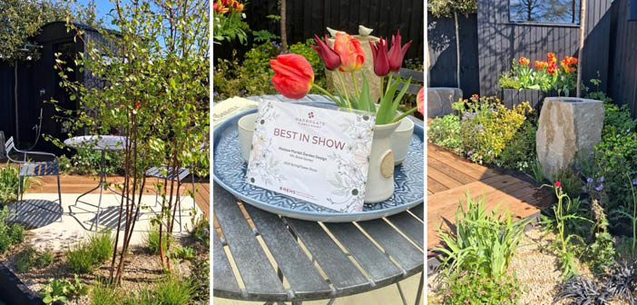 Gold rush for APL member gardens at Harrogate Spring Flower Show Gold rush for APL member gardens at Harrogate Spring Flower Show