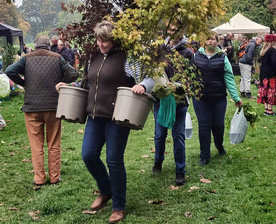 Record-breaking Hergest Croft Gardens Spring Plant Fair celebrates 30 years Hergest Croft Gardens plant fair
