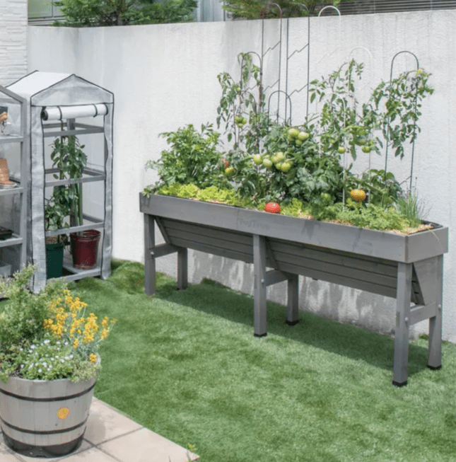 VegTrug Medium Wall Hugger Planter