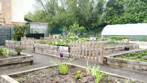 Emmaus community garden by Lucy Ellison MAJ
