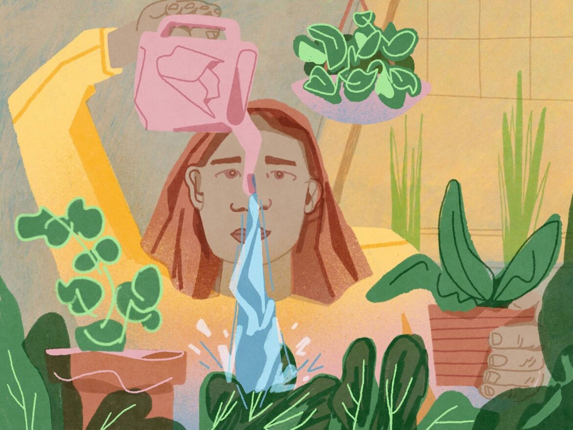 Want to Save on Groceries? You Can Grow Your Own Garden Want to Save on Groceries? You Can Grow Your Own Garden