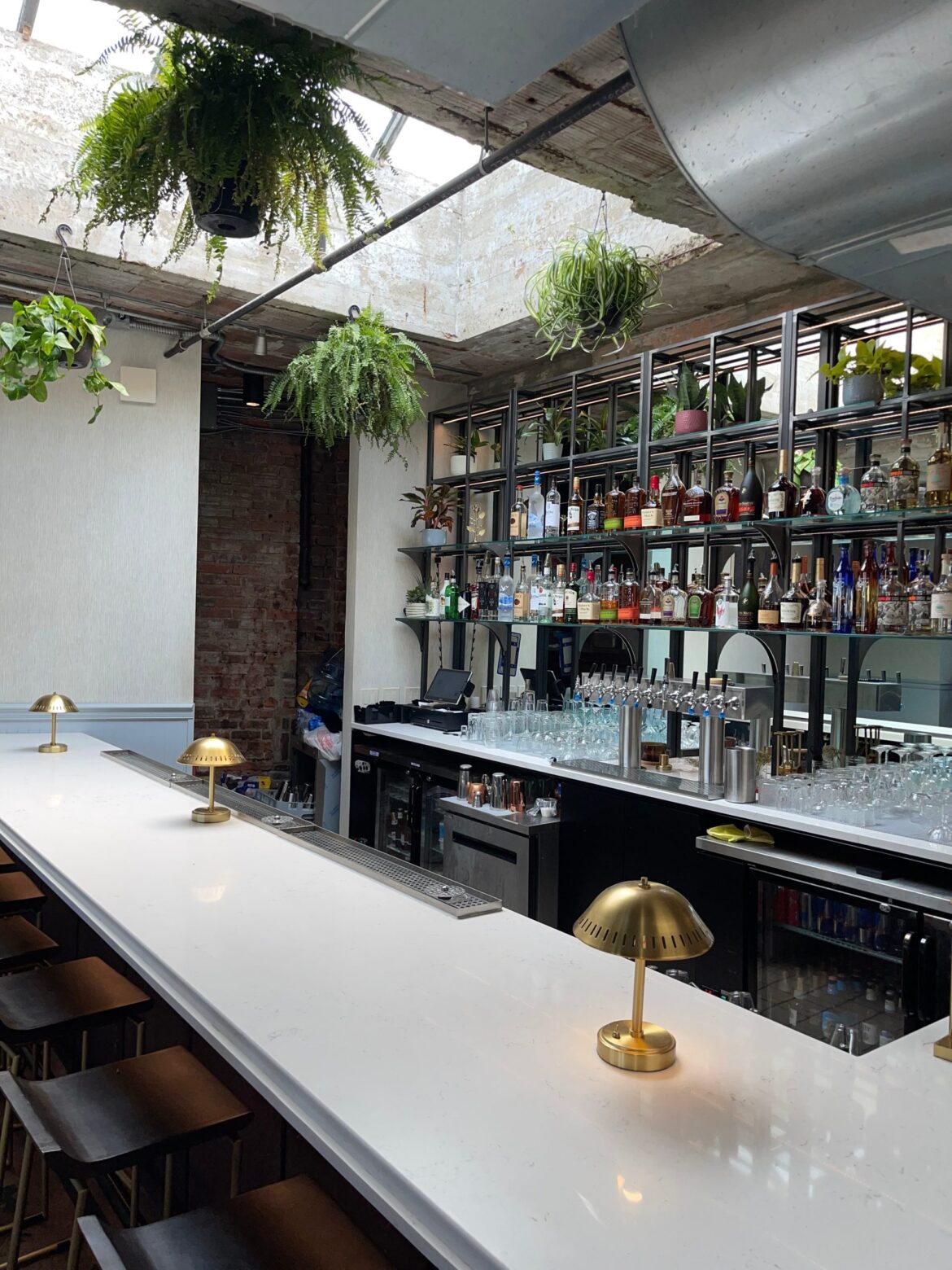Inside Son & Garden, a plant-filled cocktail bar in Walnut Hills Inside Son & Garden, a plant-filled cocktail bar in Walnut Hills