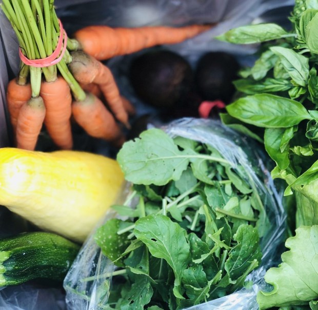 Tending to and harvesting produce you grew offers many rewards, including enhancing your well-being. (Courtesy of Mosaic Community Land Trust)