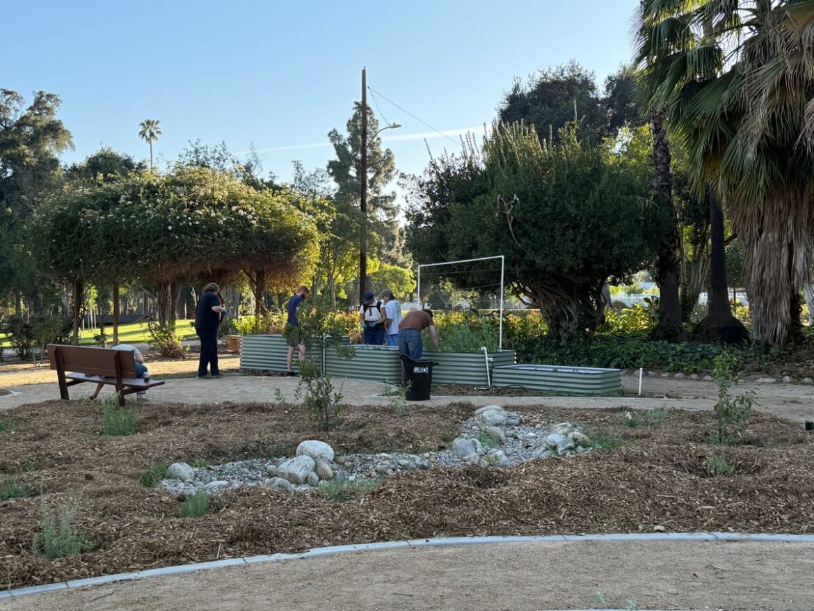 REACH garden opens in Sylvan Park with art, skate event REACH garden opens in Sylvan Park with art, skate event