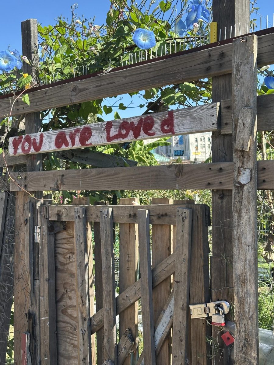The garden at Laney College sits along the estuary, overflowing with edible crops. The garden is also packed with nearly 20 years of unique history and fond memories for its community.