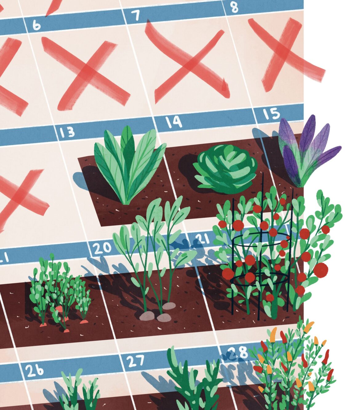 When Is The Earliest You Can Begin Preparing Your Garden? When Is The Earliest You Can Begin Preparing Your Garden?