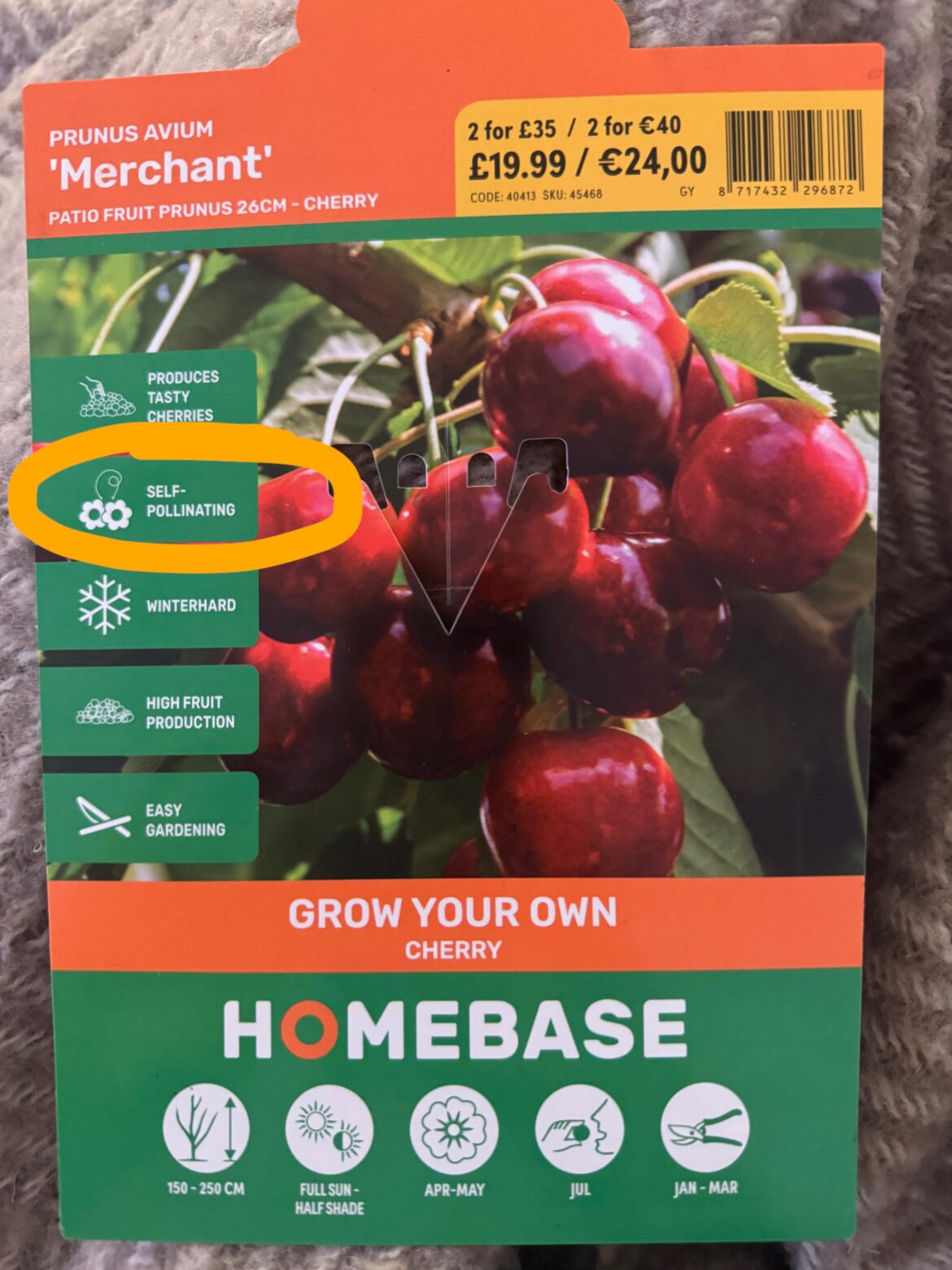 Is Homebase lying to me about my Cherry? Is Homebase lying to me about my Cherry?