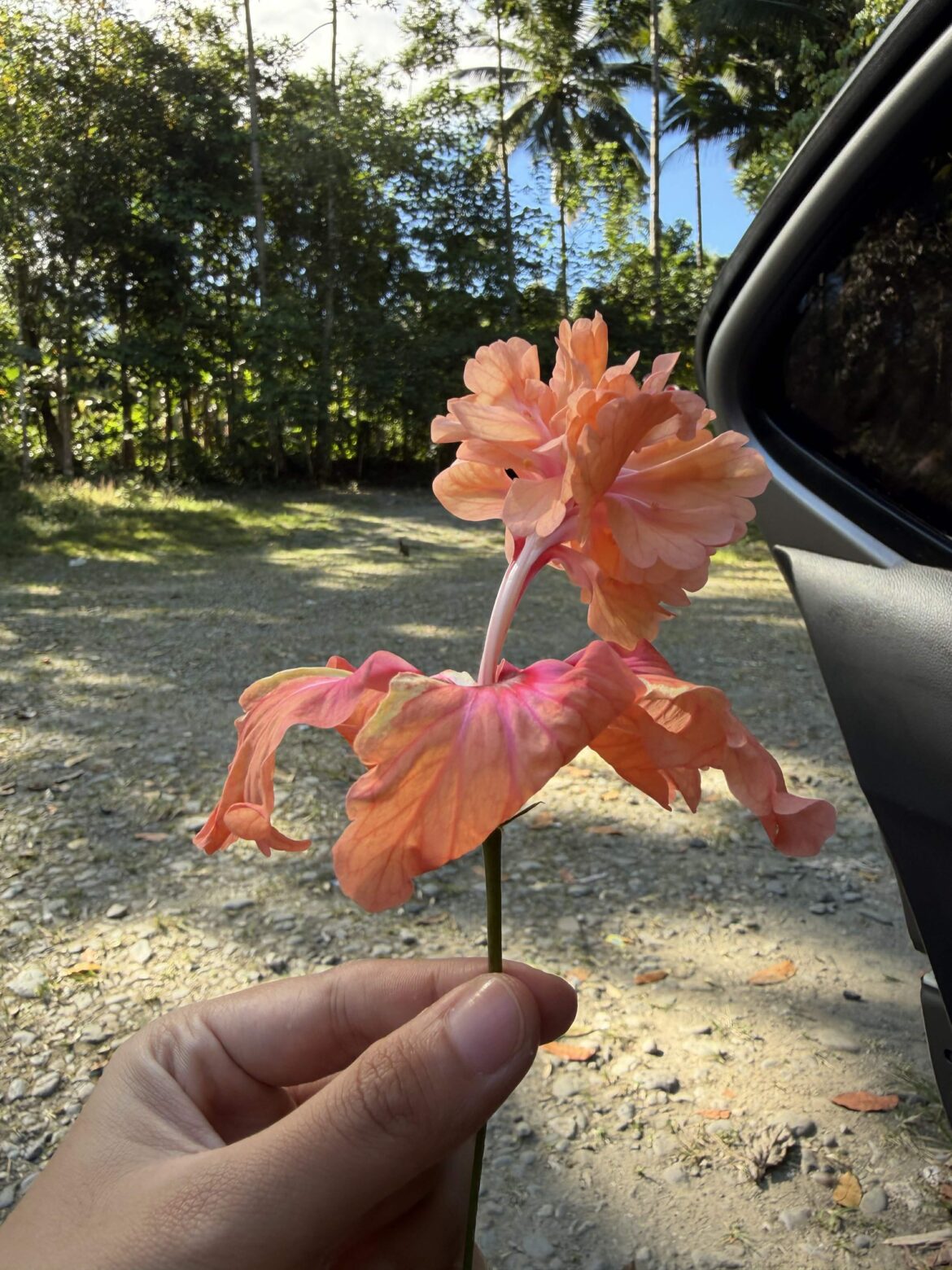 Is this rare? What's this called