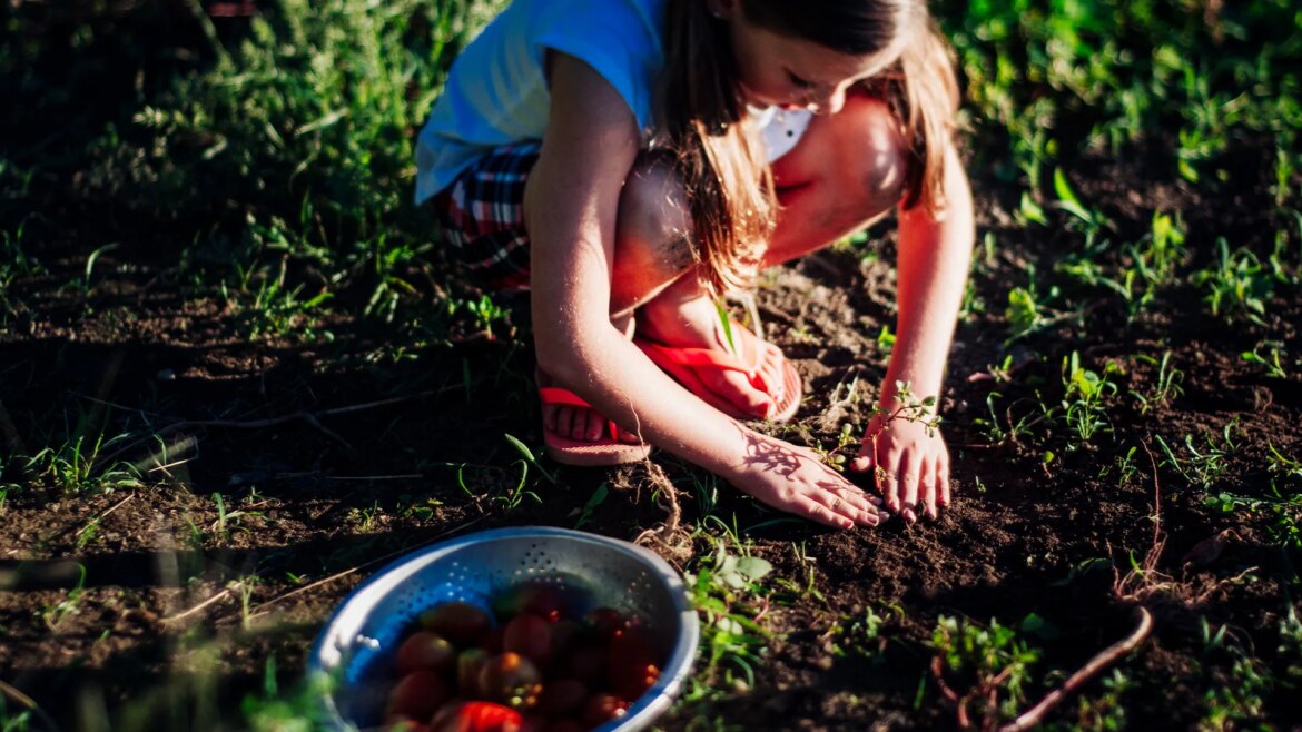 Clever gardening trick turns common cooking item already in most kitchens into DIY composter Clever gardening trick turns common cooking item already in most kitchens into DIY composter