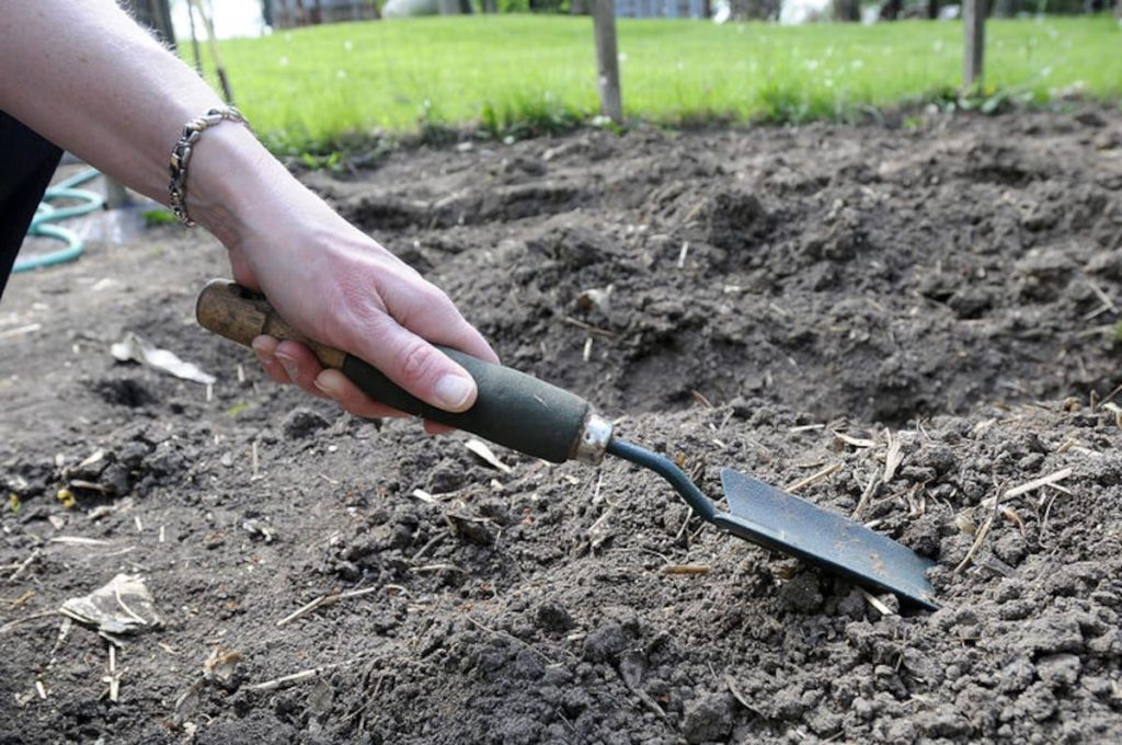 4-H Little Roots Garden Program invites kids to learn about gardening 4-H Little Roots Garden Program invites kids to learn about gardening