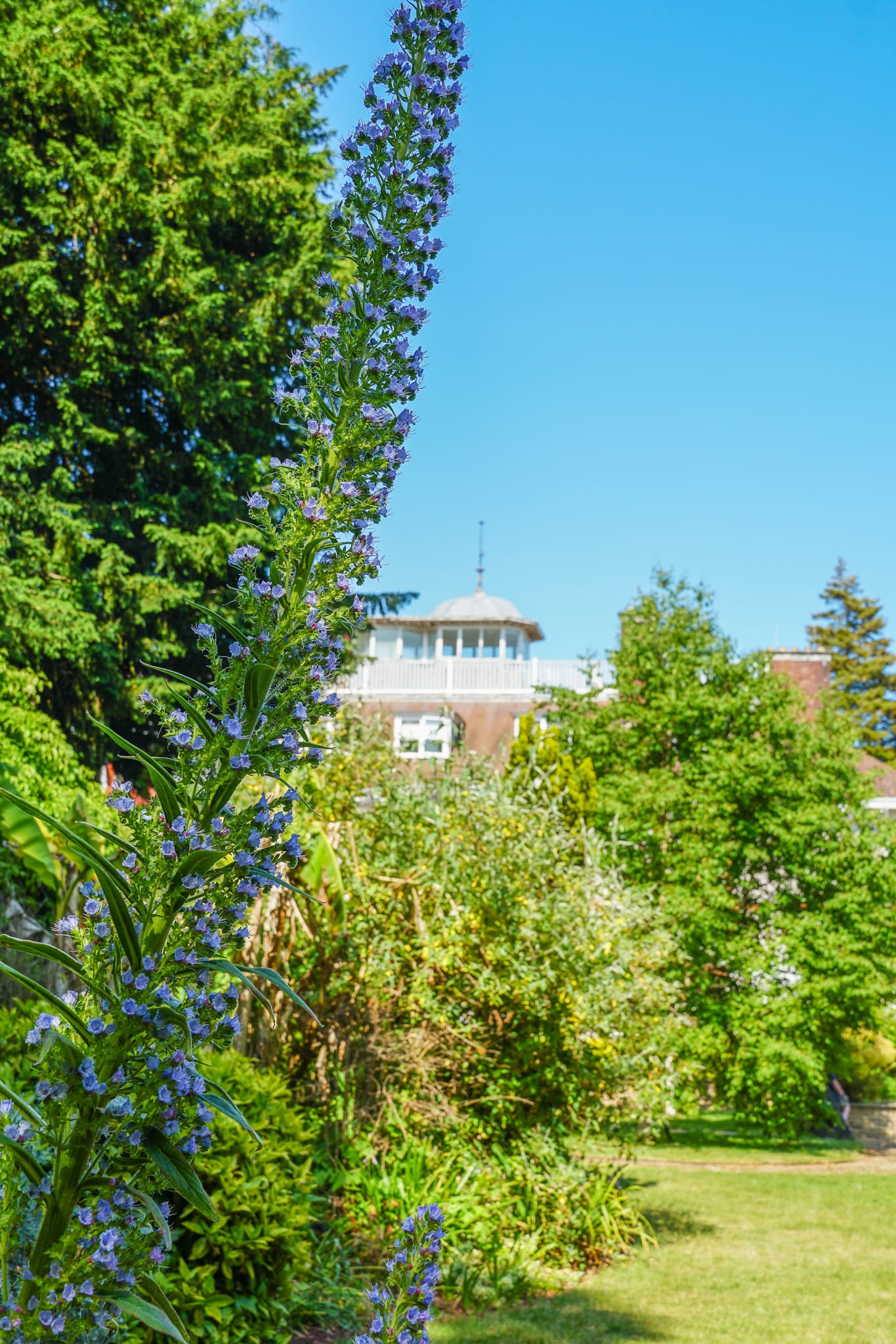 Rowcroft Hospice gardens and ground