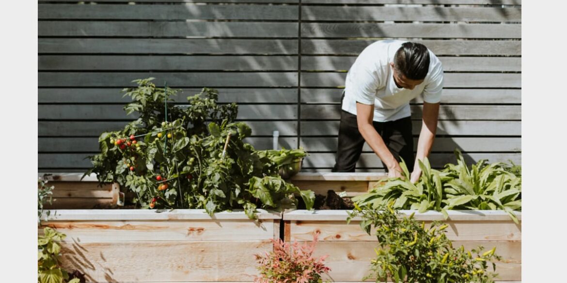 Right to grow vegetables protected under new bill Right to grow vegetables protected under new bill
