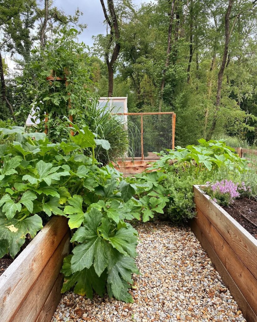 Garden Arch Harvest Trellis