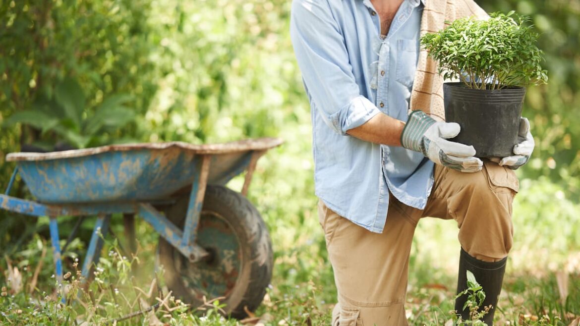 Police alert on rogue gardeners targeting elderly after $3500 Masterton scam