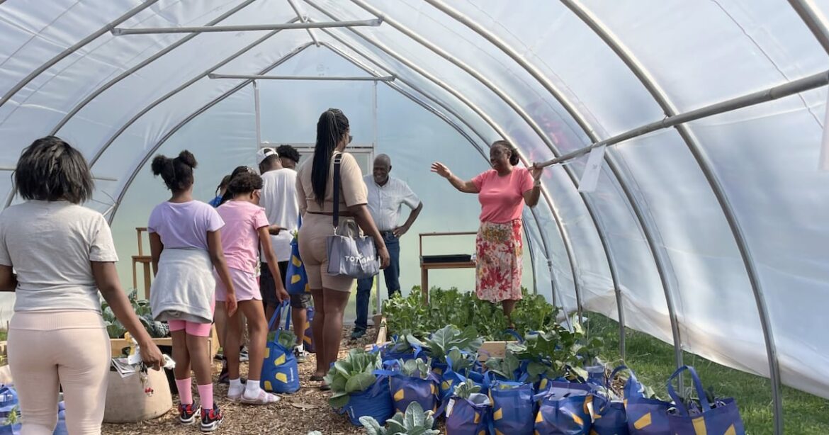 How this Detroit teacher manages a garden that has kids awed over vegetables and fruit