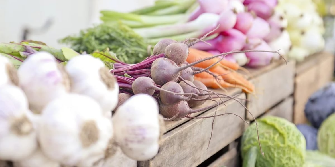 Augusta leaders, residents to gather for launch of community garden Augusta leaders, residents to gather for launch of community garden