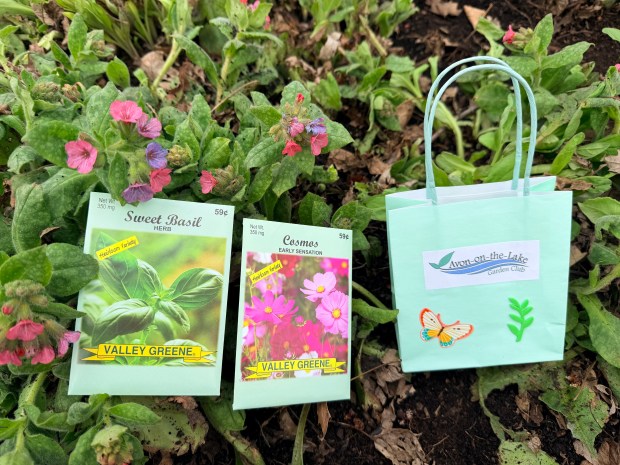 The Avon-on-the-Lake Garden Club members have filled their Little Garden Book House with cute, decorated bags filled with seed packets of flowers and vegetables. These gift bags are free to the public and will be replenished while supplies last. (Submitted)