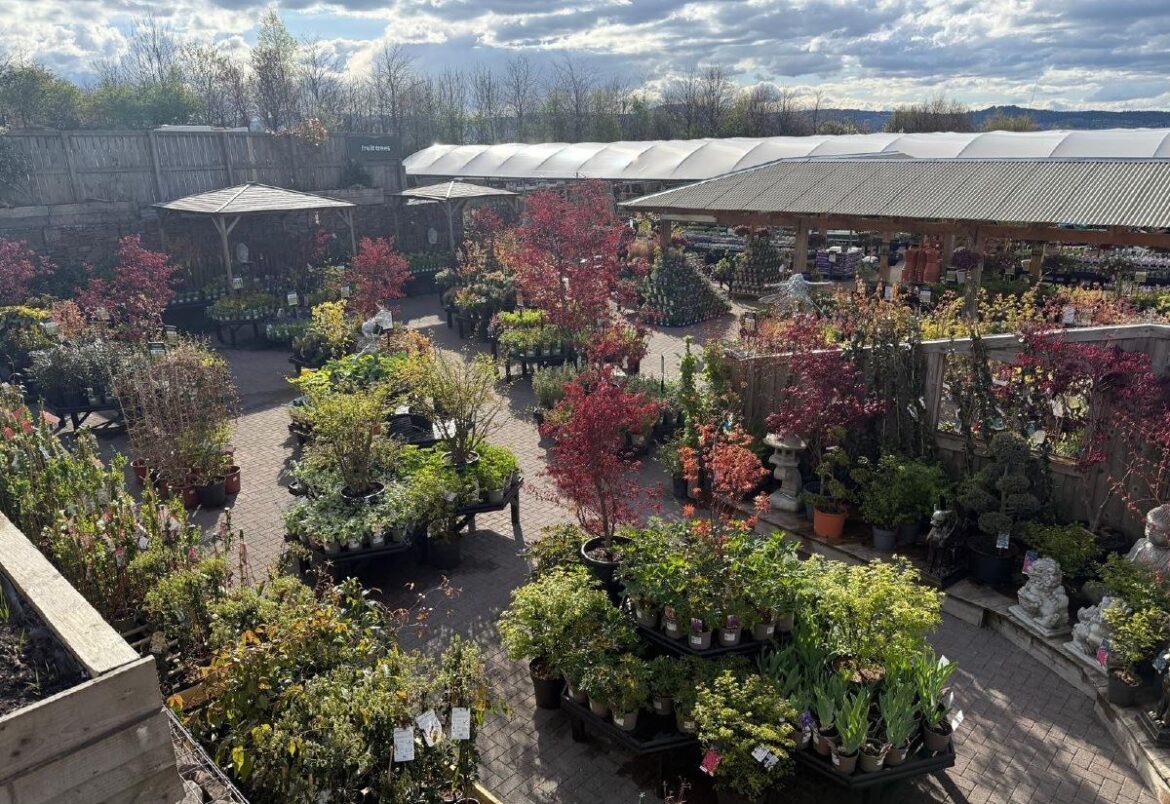 Simpsons Garden Centres ready to pass on experience and knowledge of gardening in north of Scotland as spring arrives Simpsons Garden Centres ready to pass on experience and knowledge of gardening in north of Scotland as spring arrives