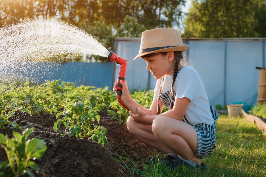 4 ways to enhance your garden this spring while protecting our waterways 4 ways to enhance your garden this spring while protecting our waterways