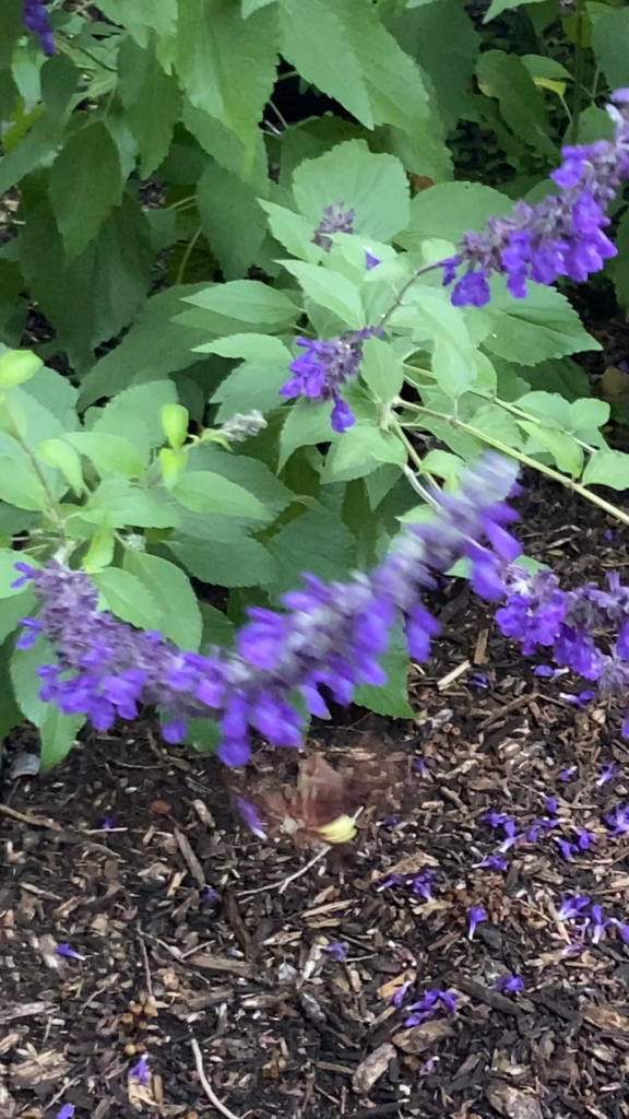 Meanwhile, in Zone 9….