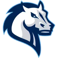Mercy University
