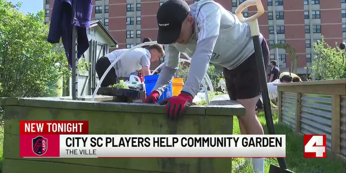 CITY SC helps bring life to community garden in North City CITY SC helps bring life to community garden in North City