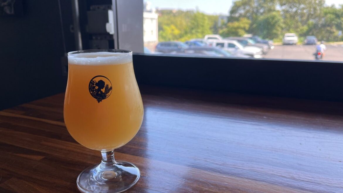 Quincy, MA beer gardens: Widowmaker reopening in new location – NBC Boston Quincy, MA beer gardens: Widowmaker reopening in new location – NBC Boston