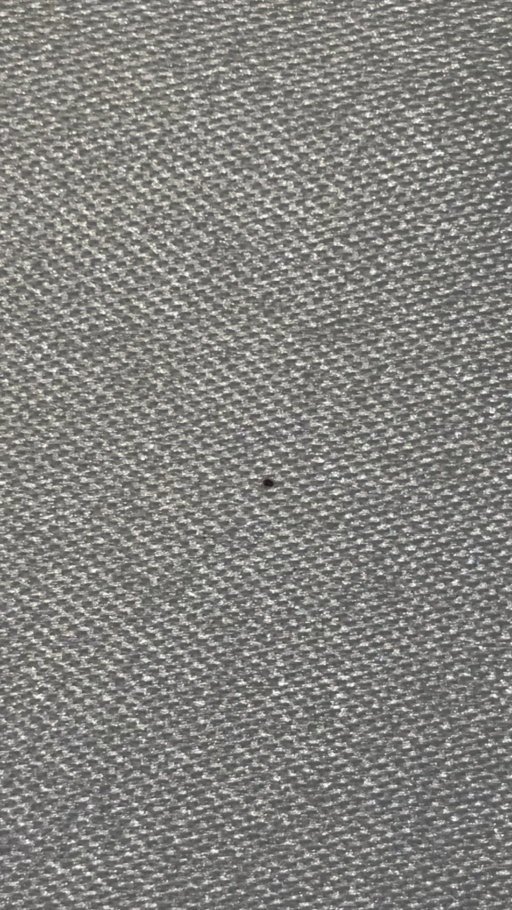 Confirm it’s a spider mite?