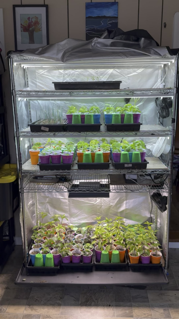 Peppers be Poppin’